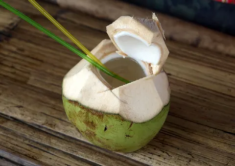 Es Kelapa Muda